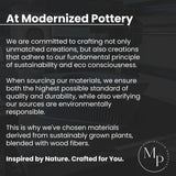 Double BUBBLES Planter