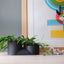 Double Planter