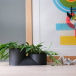 Double Planter
