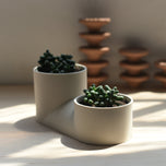 Double Planter