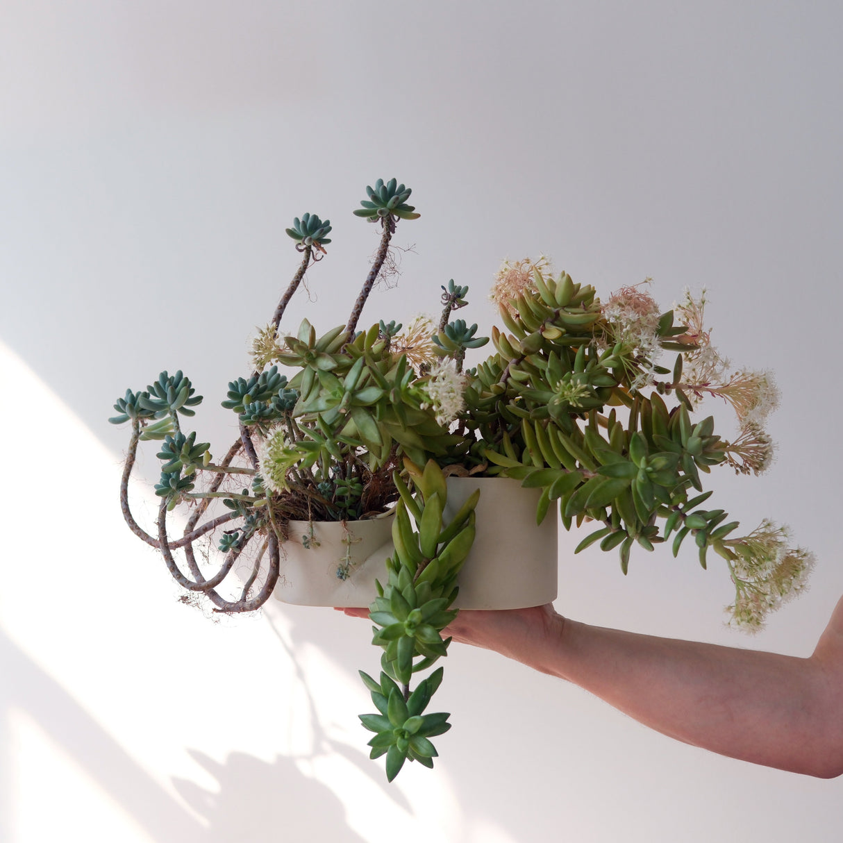 Double Planter-Pots & Planters-Parc Decor