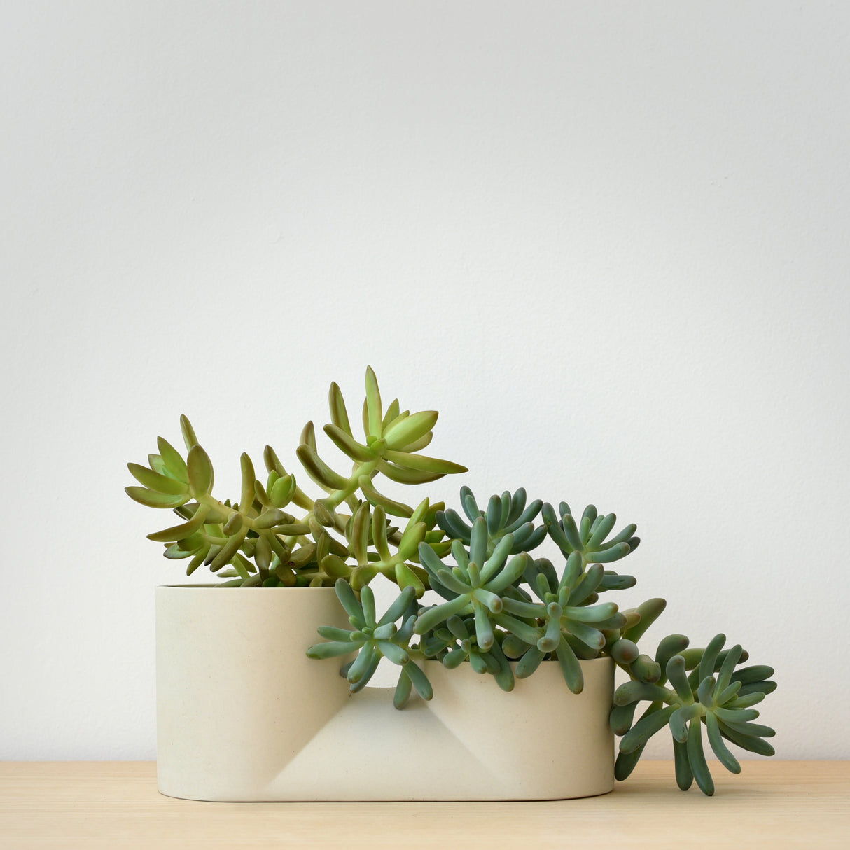 Double Planter-Pots & Planters-Parc Decor