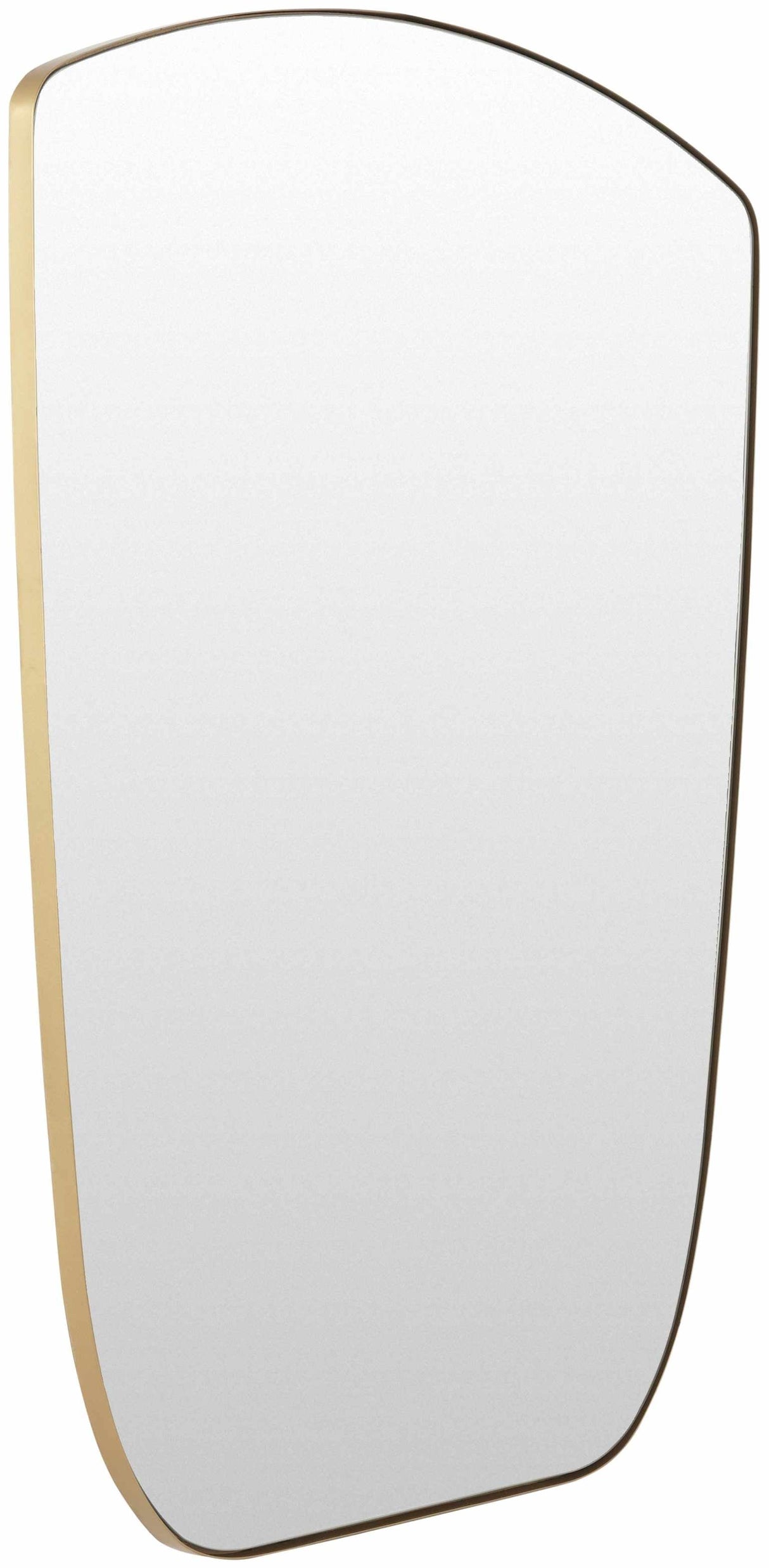 Emmerhout Gold Carved Mirror-Mirrors-Parc Decor