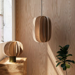 Fin III Pendant