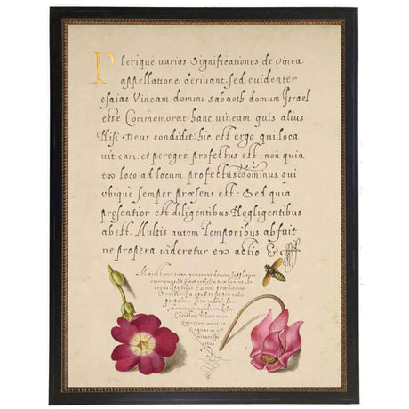 Flowers and Calligraphy 1500s Bookplate Reproduction Print in Black Beaded Frame-Art-Parc Decor