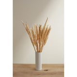 Fluffy Dried Pampas Grass