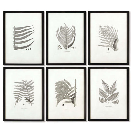 Framed Set of Fern Botanical Prints in Black and White (Set of 6)-artwork-Parc Decor
