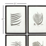 Framed Set of Fern Botanical Prints in Black and White (Set of 6)-artwork-Parc Decor