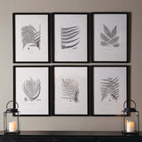 Framed Set of Fern Botanical Prints in Black and White (Set of 6)-artwork-Parc Decor