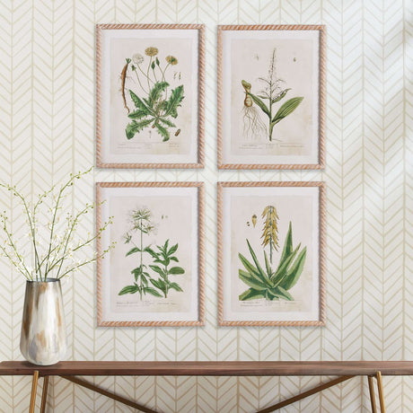 Framed Vintage Plant Illustrations for Cottagecore Decor (Set of 4)-Artwork-Parc Decor