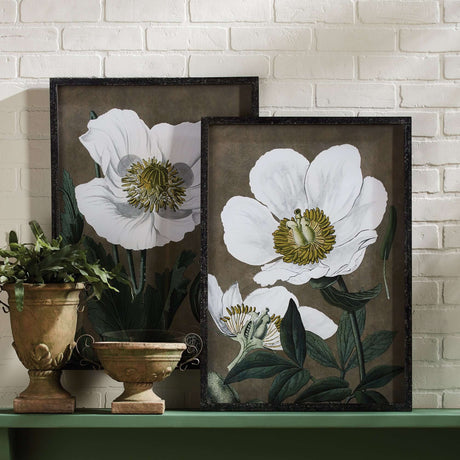 Framed Vintage Poppy Wall Art Prints (Set of 2)-Artwork-Parc Decor