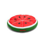 Fruit Slice Large
