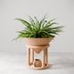 Funnel Planter-Planter-Parc Decor