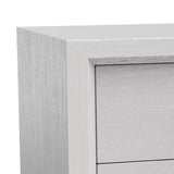 Furniture of America Lucien Modern Wood Nightstand with 2 Drawers