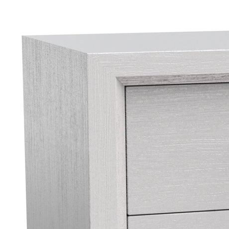 Furniture of America Lucien Modern Wood Nightstand with 2 Drawers