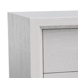 Furniture of America Lucien Modern Wood Nightstand with 2 Drawers-床头柜-Parc Decor