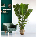 Giant Travelers Palm Artificial Tree-Tree-Parc Decor