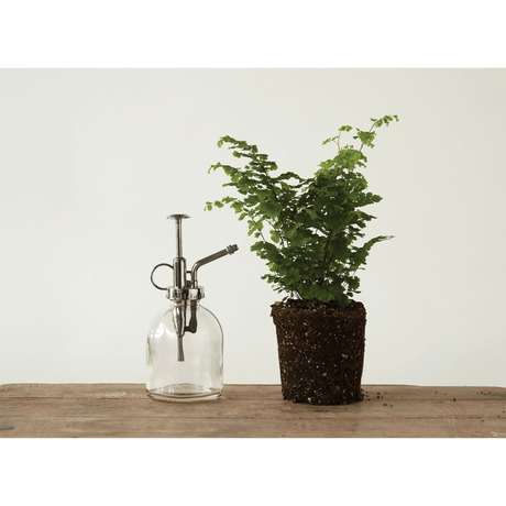 Glass Plant Mister with Silver Pump-Planters-Parc Decor
