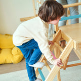 Grove | Foldable Jungle Gym - Wall Mounted