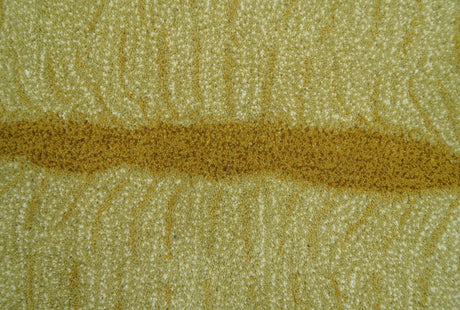 Hand Tufted Animal Lion Black 3x5 Wool Area Rug-Parc Decor