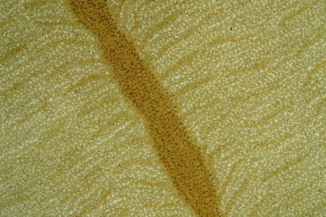 Hand Tufted Animal Lion Black 3x5 Wool Area Rug-Area Rug-Parc Decor