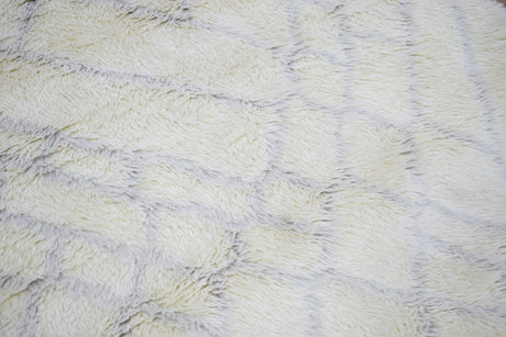 Handmade 4x6 Ivory Moroccan Design Wool Area Rug