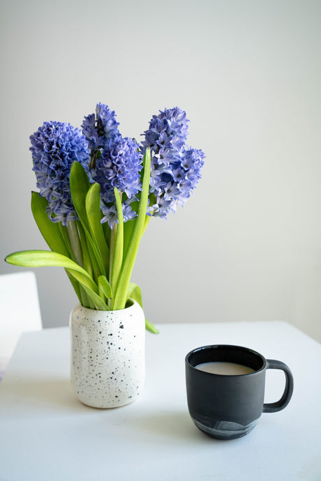 Handmade Porcelain Coffee Mug. Iceland
