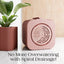 Hanging Box Planter