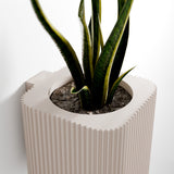 Hanging Box Planter-Planter-Parc Decor