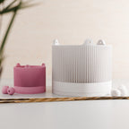 Hanging Sakura Planter
