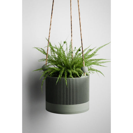 Hanging Sakura Planter