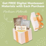 Home Climbing Wall-Climbing Set-Parc Decor