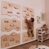 Home Climbing Wall-Climbing Set-Parc Decor