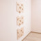 Home Climbing Wall-Climbing Set-Parc Decor