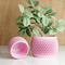 Honeycomb Planter-Planter-Parc Decor