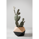 ICO Planter