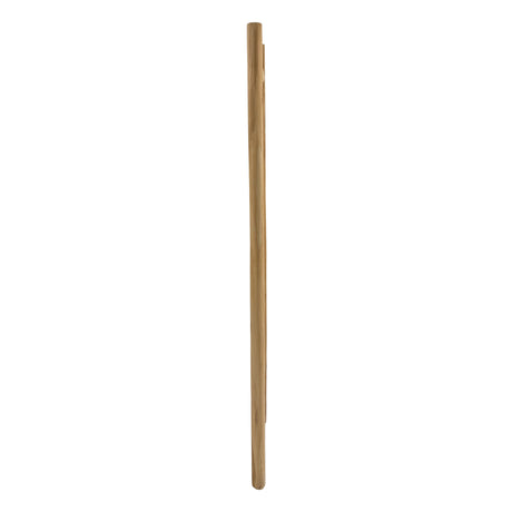 Indoor Natural Teak Branch Mirror - 71"