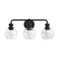 Irvine Black Modern Clear Glass 3-Light Vanity Light