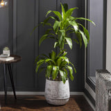 Janamuato White Geometric Cement Planter-Decor-Parc Decor