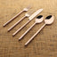 Jason PVD Flatware, 5-Pc. Place Setting
