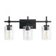 Jasper 3-Light Modern Clear Glass Bathroom Vanity Light, Black & Nickel-壁灯-Parc Decor