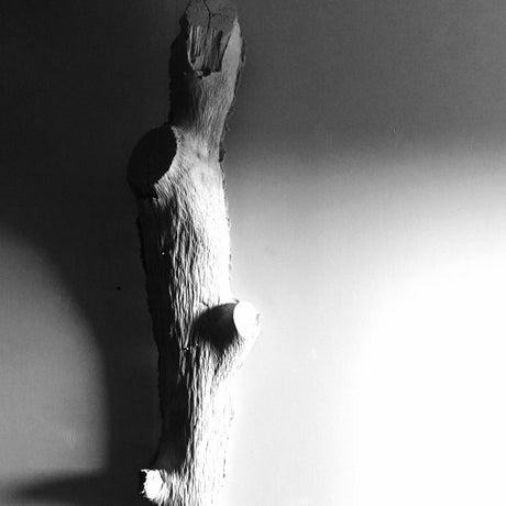 Light Weight Concrete Tree