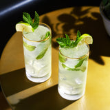 Meridian Crystal Highball Glasses Set of 2-product_type::stemless_cocktail_glasses-Parc Decor