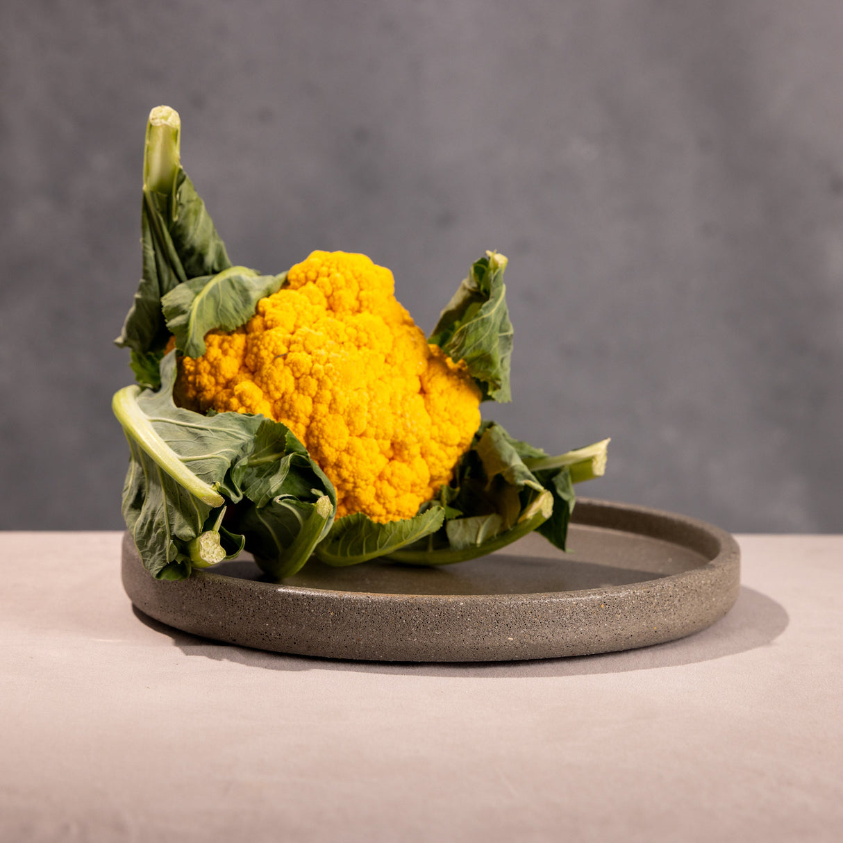 Mesa Round Platter-Home Decor-Parc Decor