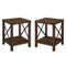 Metal X Side Tables, Set of 2-Occasional-Parc Decor