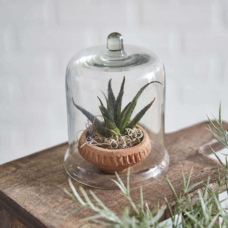 Miniature Glass Cloches (Set of 4)-Cloches-Parc Decor