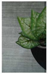 Modern 5x6.5 Gray and Silver Blended Wool Hand Woven Area Rug