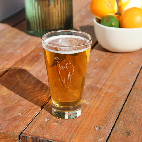 Modern Pets Arlo Tumbler Drinking Glasses, 14 ounce, Set of 4-Cocktails and Spirits-Parc Decor