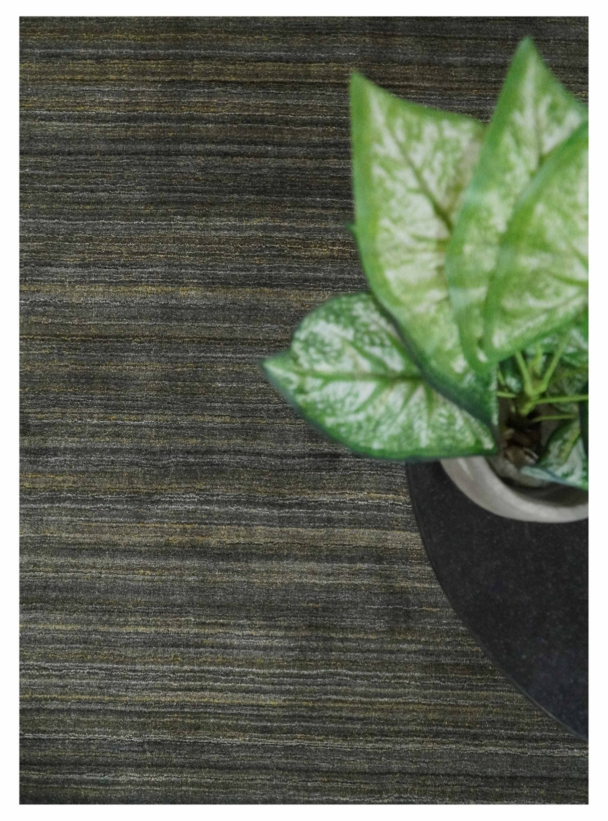 Modern Solid Olive and Gray 5x7 Blended bamboo Silk Hand Woven Area Rug