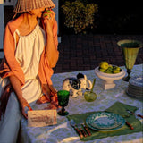 Monsoon Verdant Starter Plate - Case of 12 Plates (+3 Bonus Plates)-Starter Plate-Parc Decor